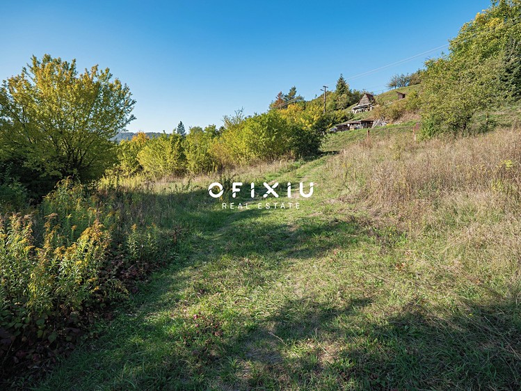 Ostatní