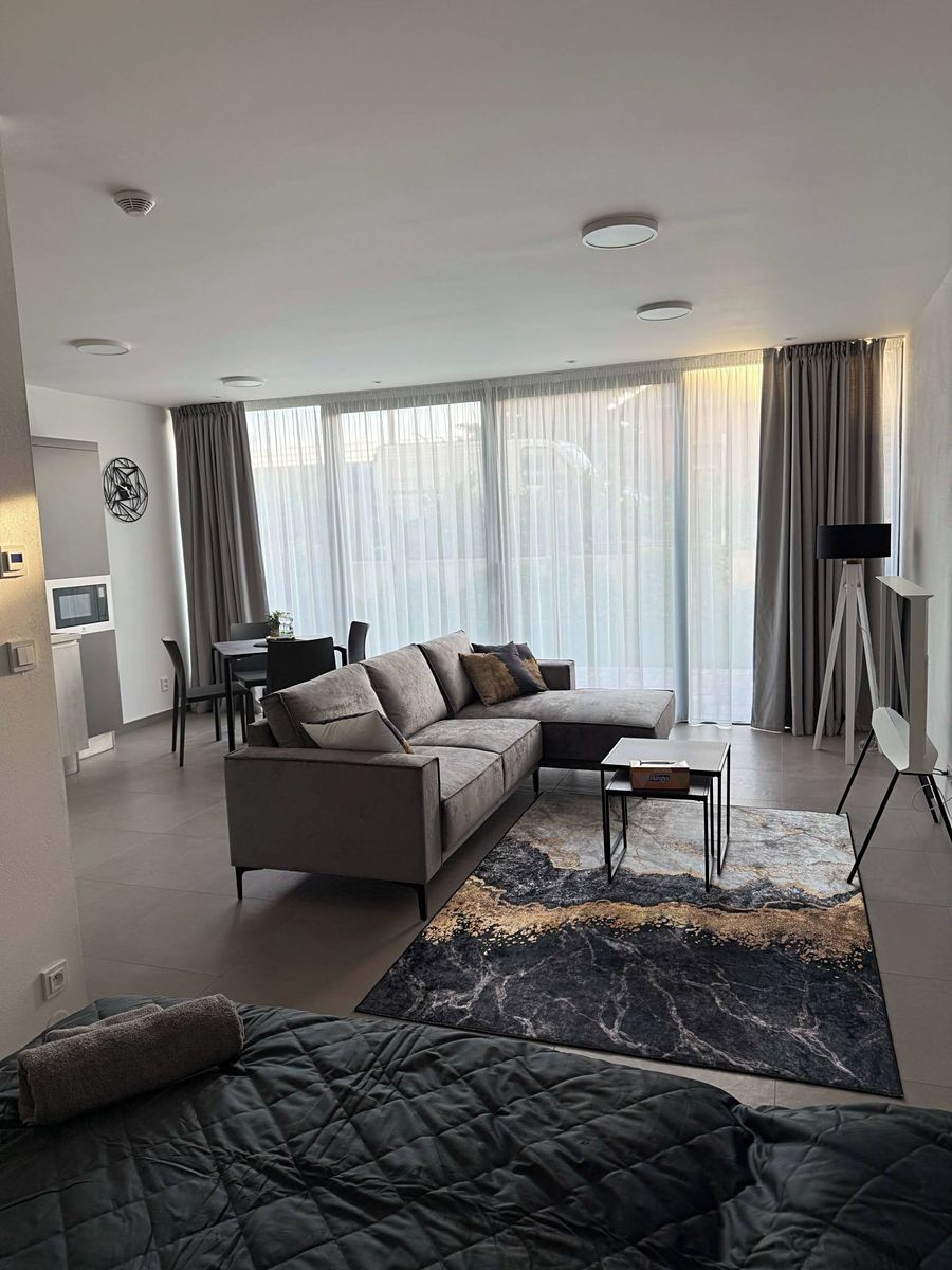 Pronájem bytu 1+kk 50 m² – fotografie 2