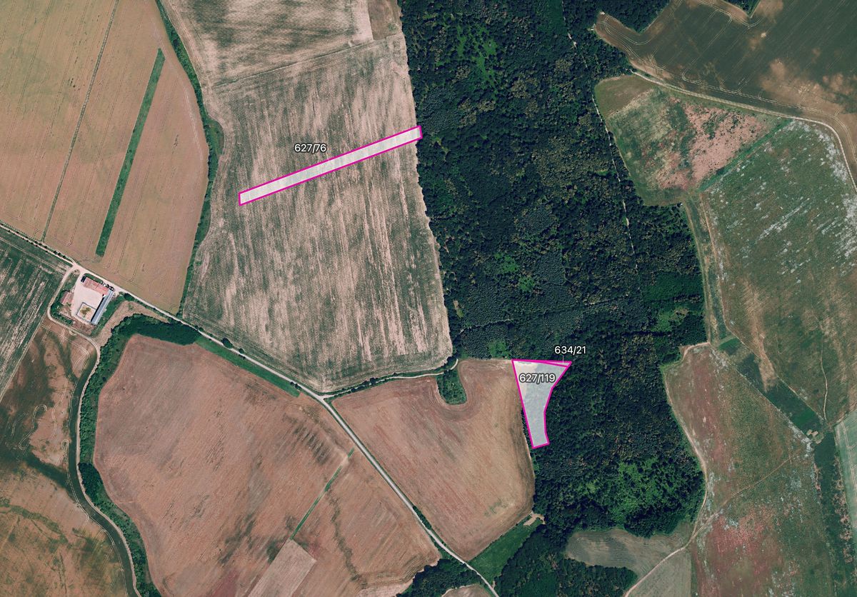 Prodej pole 6560 m², Džbánice – fotka 1 z 3