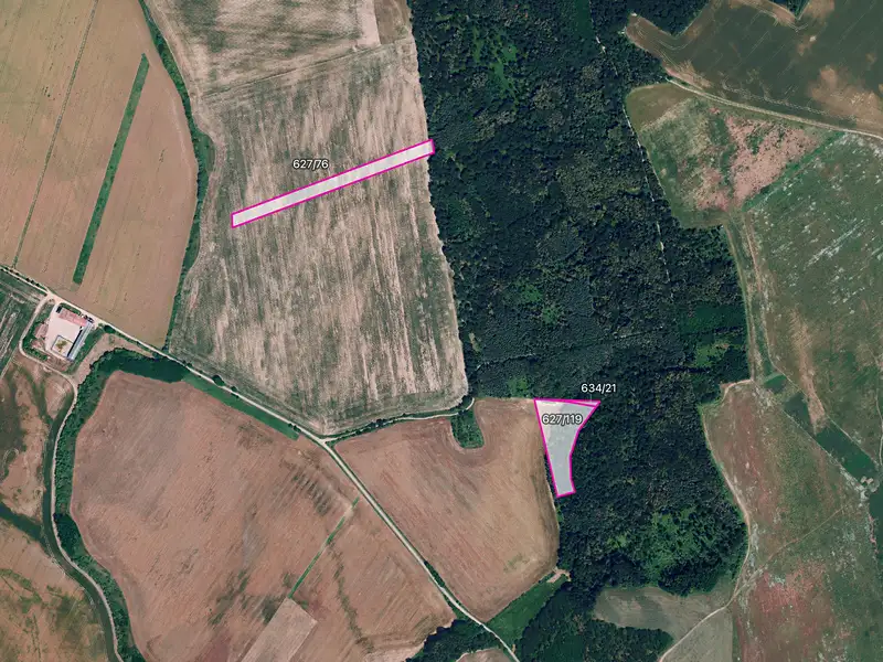 Prodej pole 6560 m², Džbánice – náhled fotky 1
