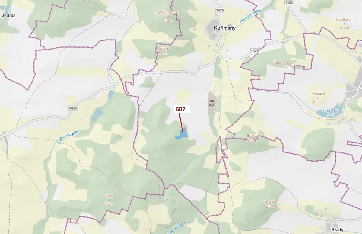 Dražba lesa 10437 m², Kuřimany – fotka 1 z 3