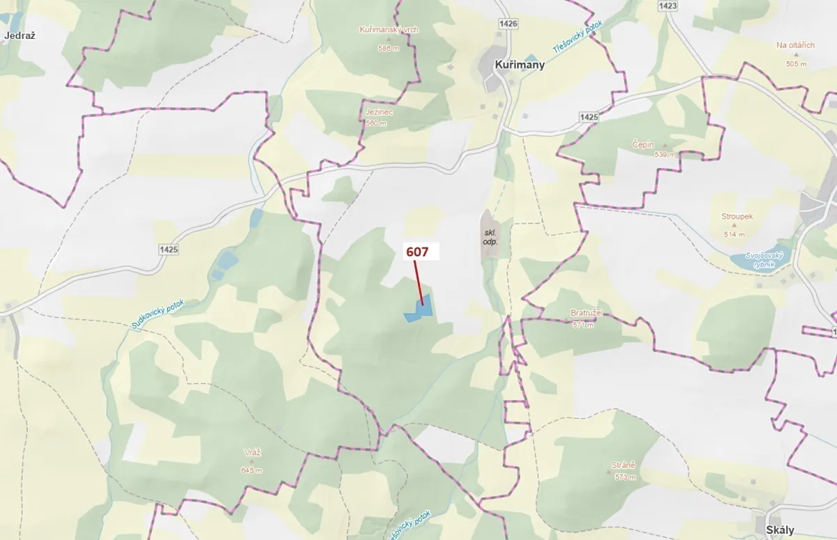 Dražba lesa 10437 m²