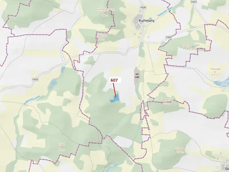 Dražba lesa 10437 m², Kuřimany – náhled fotky 1
