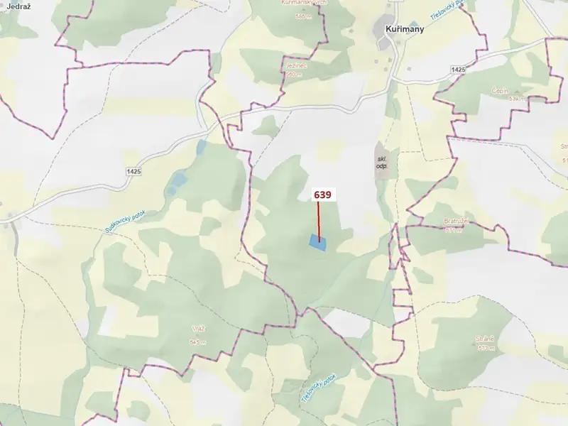 Dražba lesa 8912 m², Kuřimany – náhled fotky 1