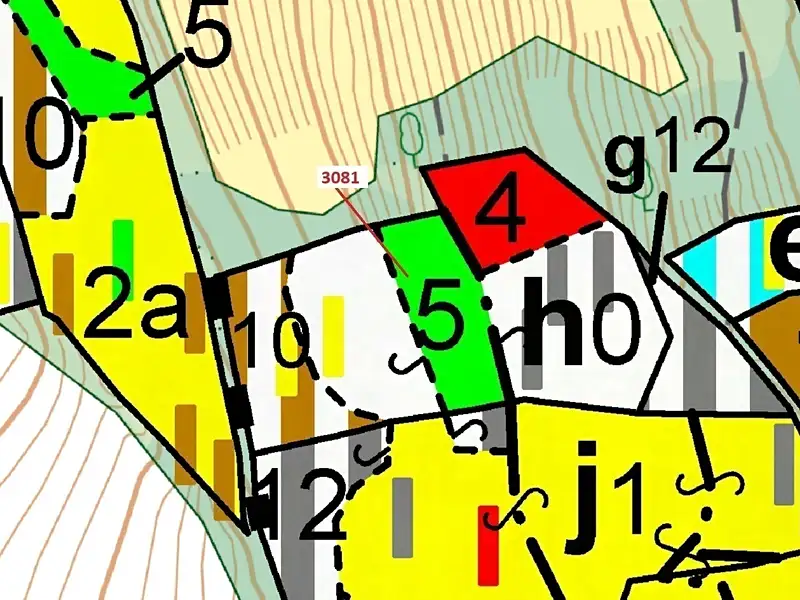 Dražba lesa 6213 m², Benešov u Semil – náhled fotky 3