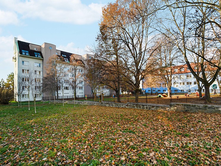 Ostatní