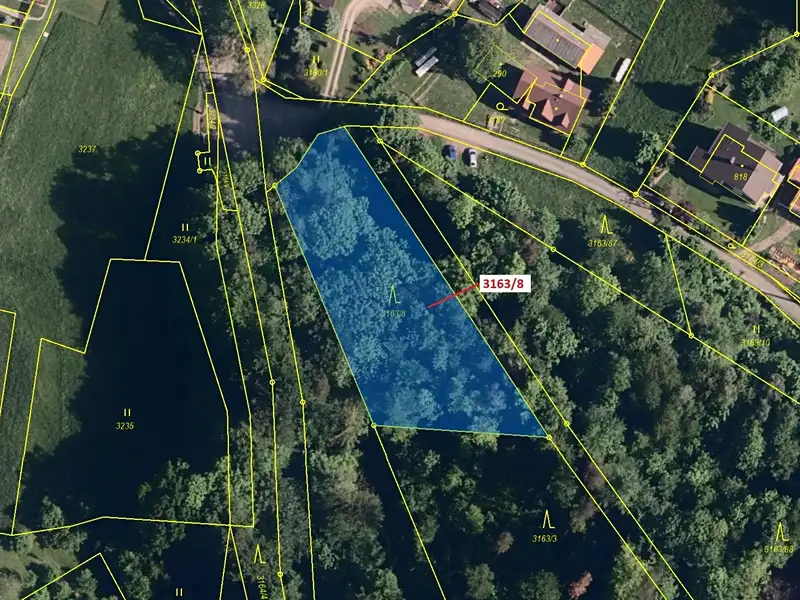 Dražba lesa 1981 m², Třinec – náhled fotky 2