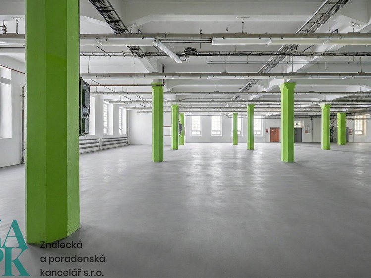 Gewerbefläche zur Miete, 2.069 m² (4 von 10)
