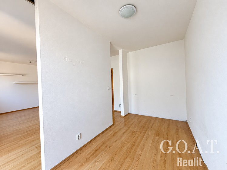 Prodej bytu 1+kk, 44 m² (9 z 23)