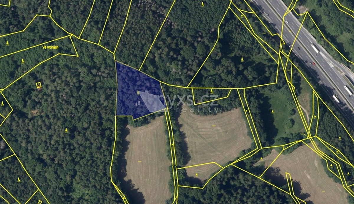 Prodej lesa 4613 m², Kunice – fotka 1 z 3