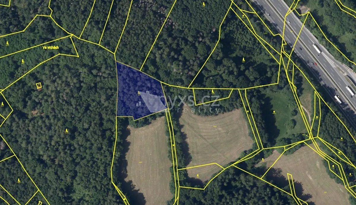 Prodej lesa 4613 m²