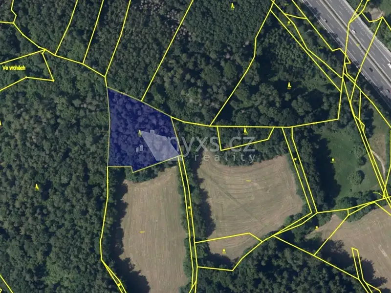 Prodej lesa 4613 m², Kunice – náhled fotky 1