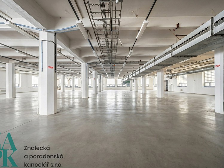 Gewerbefläche zur Miete, 53 m² (5 von 5)