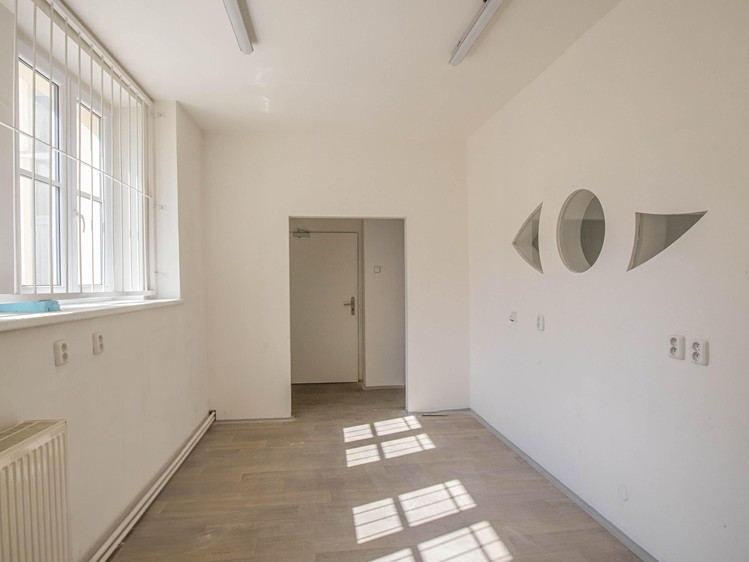 Pronájem komerčního prostoru, 61 m² (9 z 18)