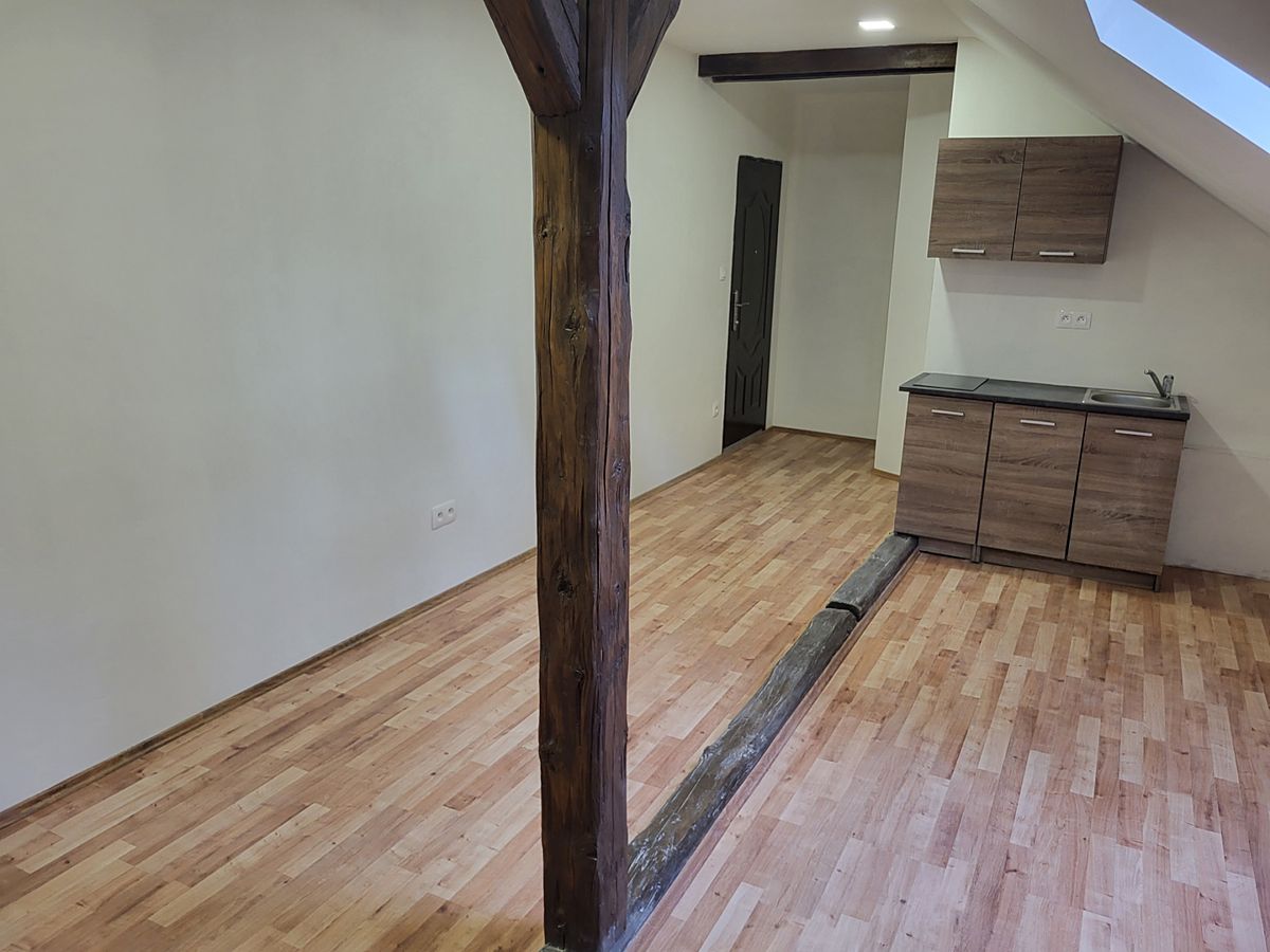 Pronájem bytu 1+kk 30 m²