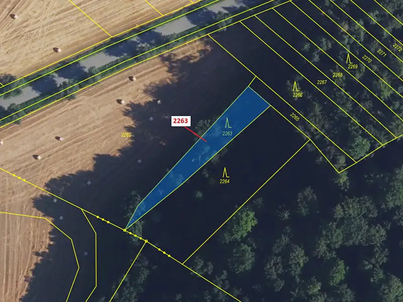 Dražba lesa 658 m², Biskupice – náhled fotky 2