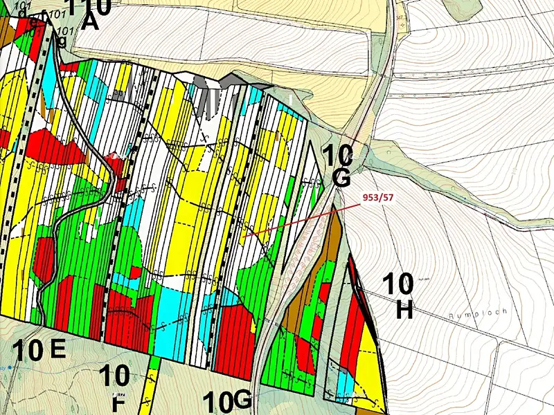 Dražba lesa 6750 m², Nová Hradečná – náhled fotky 3