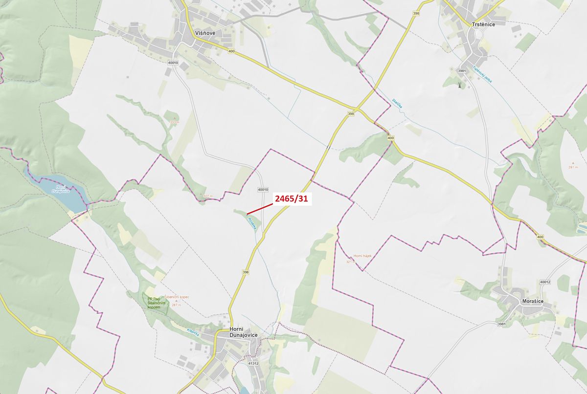 Dražba lesa 263 m², Horní Dunajovice – fotka 1 z 3