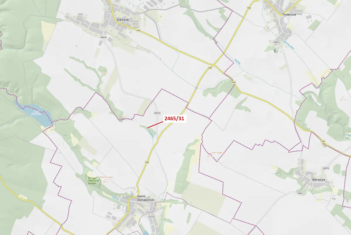 Dražba lesa 263 m²