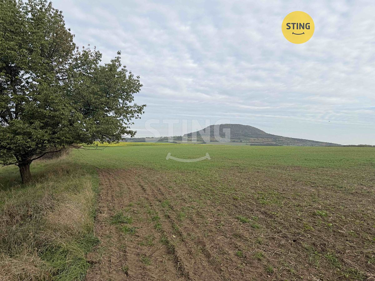 Prodej sadu, vinice 10074 m², Kleneč – fotka 1 z 3