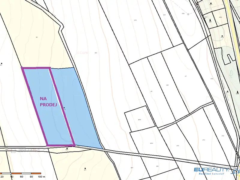 Prodej louky 8790 m², Police nad Metují – náhled fotky 3