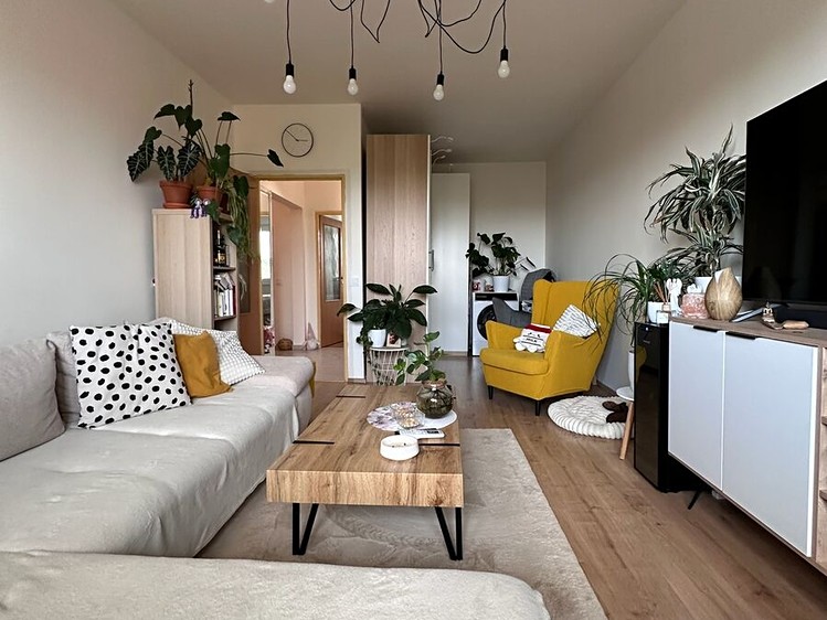 Pronájem bytu 2+1, 56 m² (1 z 14)