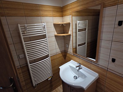 Pronájem bytu 1+1, 56 m² (3 z 13)