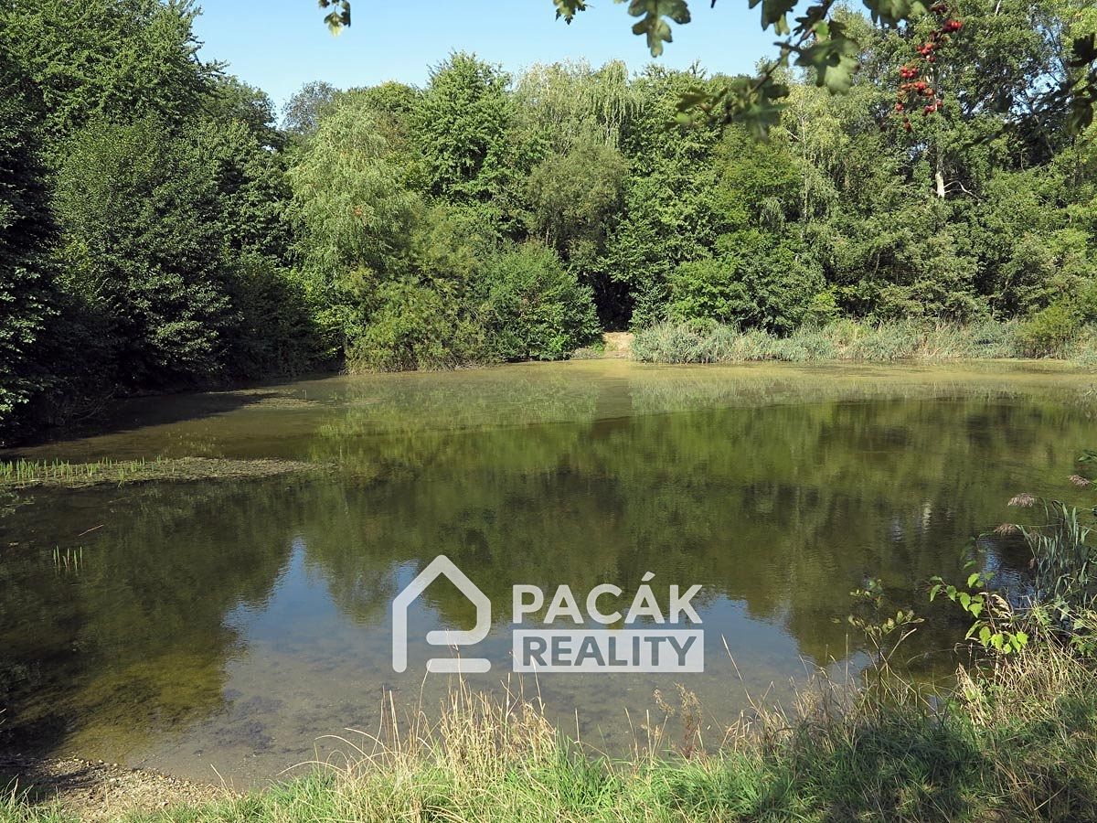 Prodej rybníku (vodní plochy) 15995 m², Kožušany-Tážaly – fotka 1 z 3