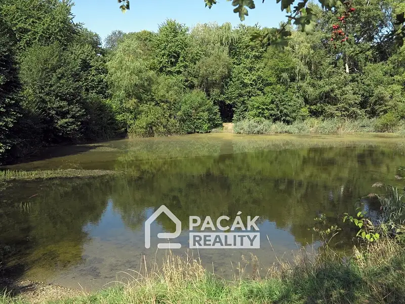 Prodej rybníku (vodní plochy) 15995 m², Kožušany-Tážaly – náhled fotky 1
