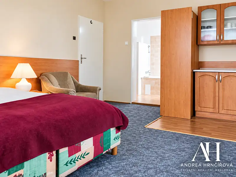 Pronájem bytu 1+kk 23 m², Praha – náhled fotky 1