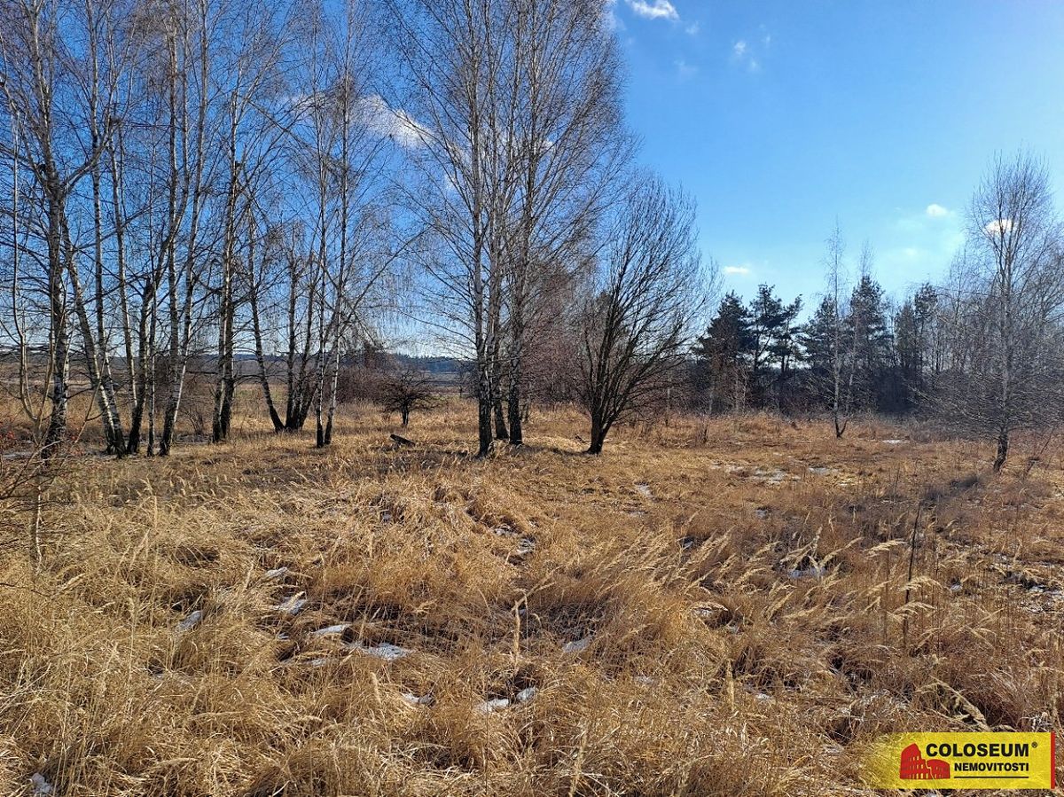 Prodej komerčního pozemku 15899 m², Šafov – fotka 1 z 3
