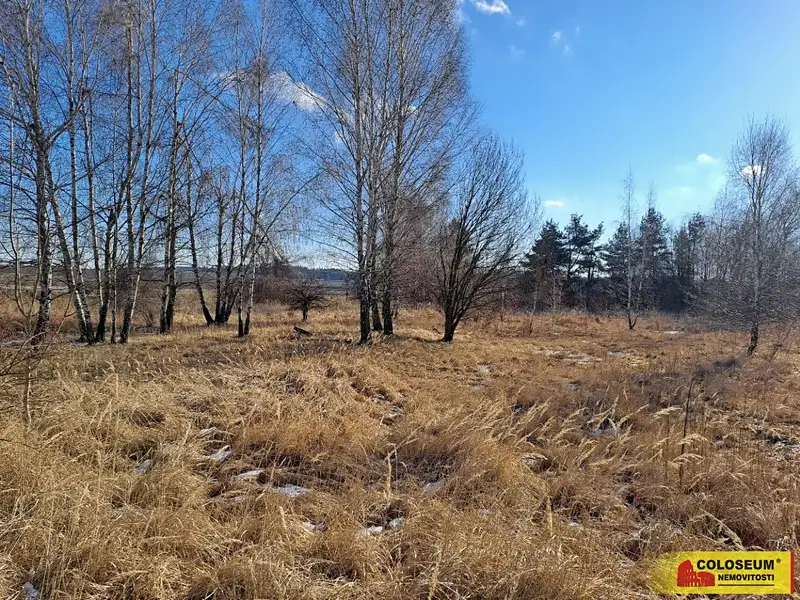 Prodej komerčního pozemku 15899 m², Šafov – náhled fotky 1
