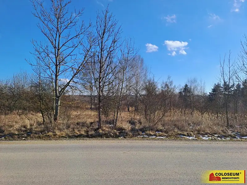 Prodej komerčního pozemku 15899 m², Šafov – náhled fotky 2