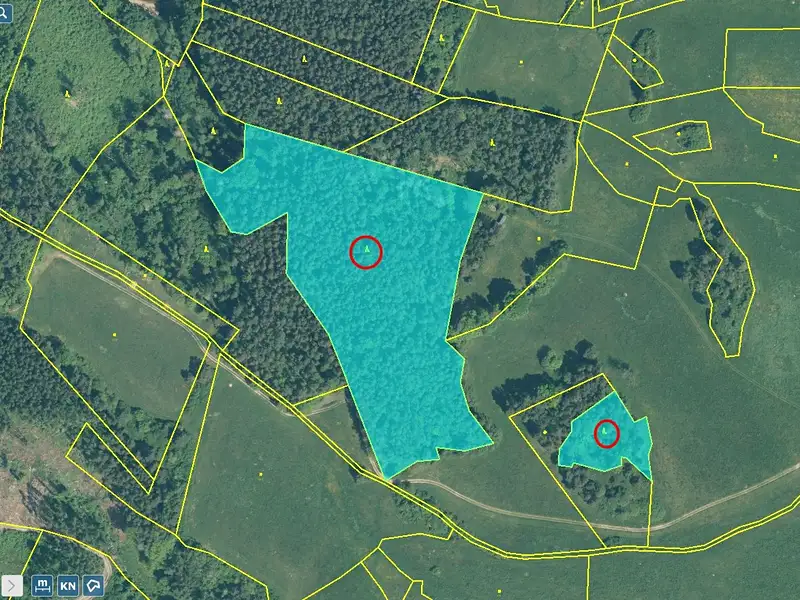 Prodej lesa 32955 m², Jickovice – náhled fotky 2