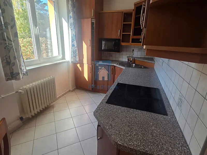 Pronájem bytu 3+1 80 m², Plzeň – náhled fotky 2