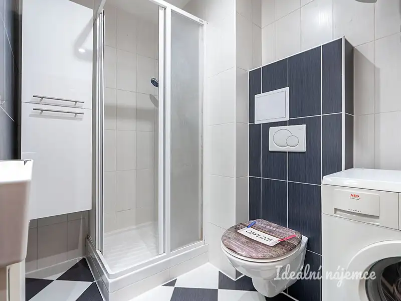 Pronájem bytu 1+1 43 m², Praha – náhled fotky 3