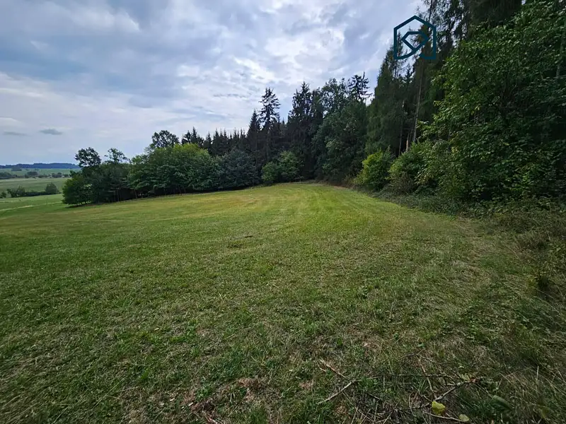 Prodej pole 1703 m², Kasejovice – náhled fotky 3