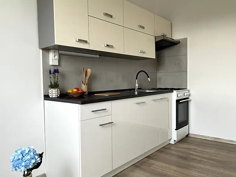 Pronájem bytu 3+1 58 m², Česká Lípa – náhled fotky 1