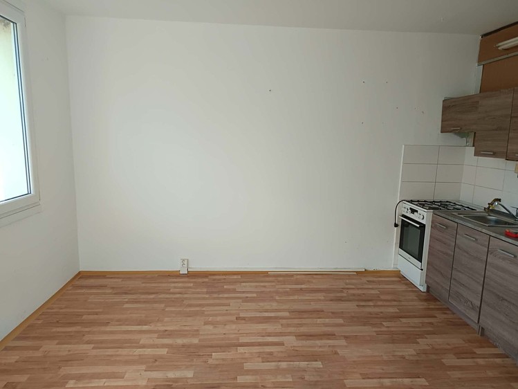 Pronájem bytu 1+1, 35 m² (2 z 4)