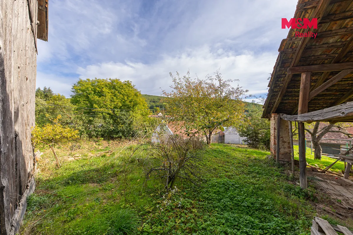 Fotka 20 z 30