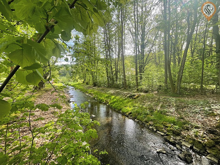 Prodej domu, 850 m² (18 z 31)