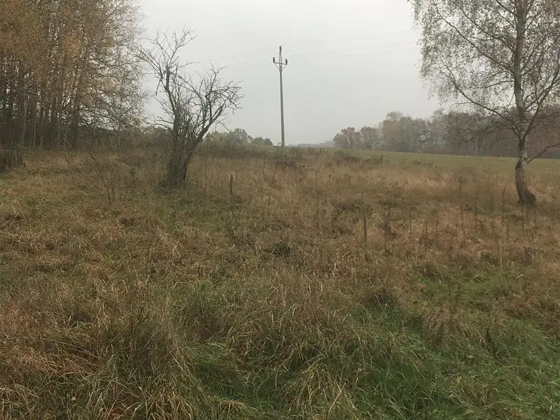 Prodej pozemku 5142 m², Cvikov – náhled fotky 3