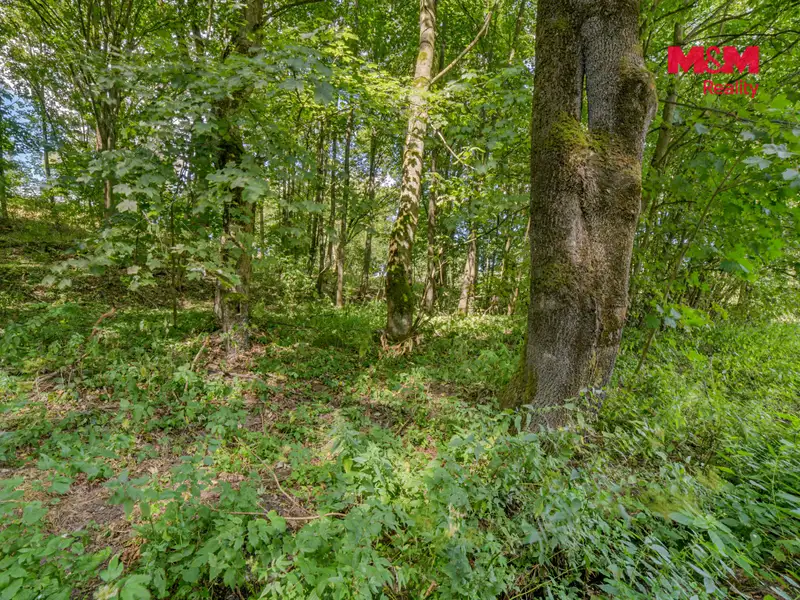 Prodej stavebního pozemku 1858 m², Březová – náhled fotky 3