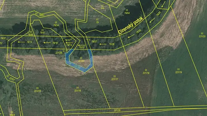 Dražba louky 24125 m², Přehořov – náhled fotky 1