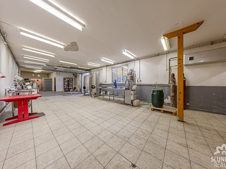 Gewerbefläche zum Kauf, 373 m² (8 von 48)