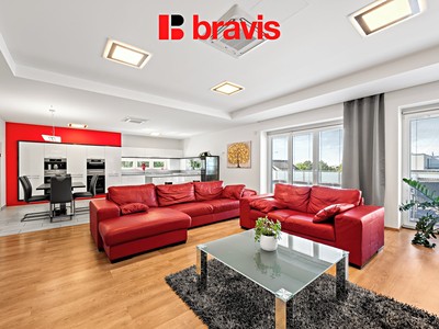 Prodej domu, 482 m² (3 z 18)