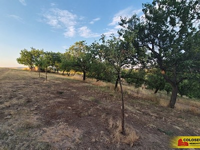 Prodej pozemku, 872 m² (3 z 6)