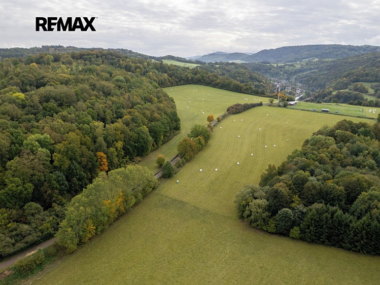 Grundstück zum Kauf, 28.000 m² (6 von 15)