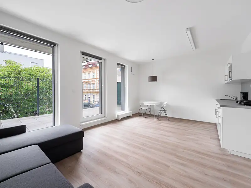 Pronájem bytu 1+kk 36 m², Plzeň – náhled fotky 1