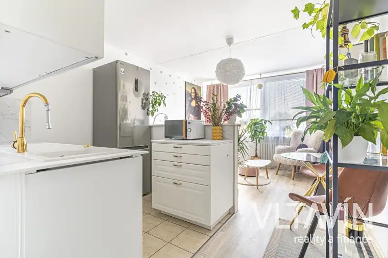 Prodej bytu 2+kk 47 m², Praha – náhled fotky 1